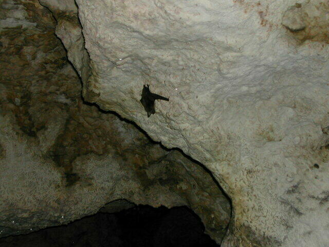 DSCN1718.JPG