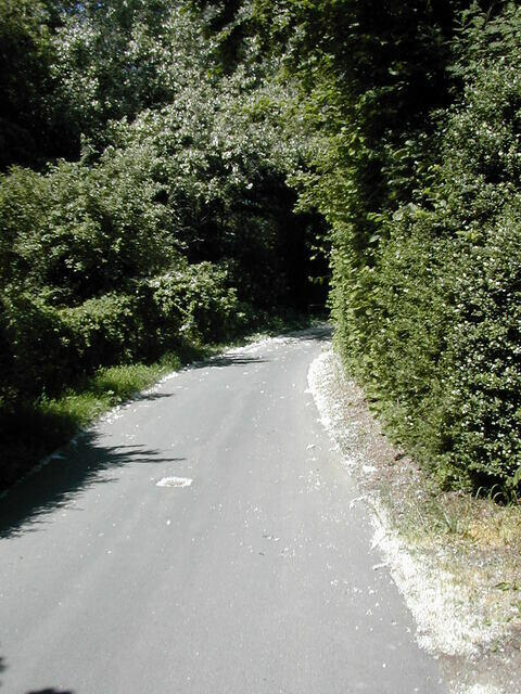 20050618145700