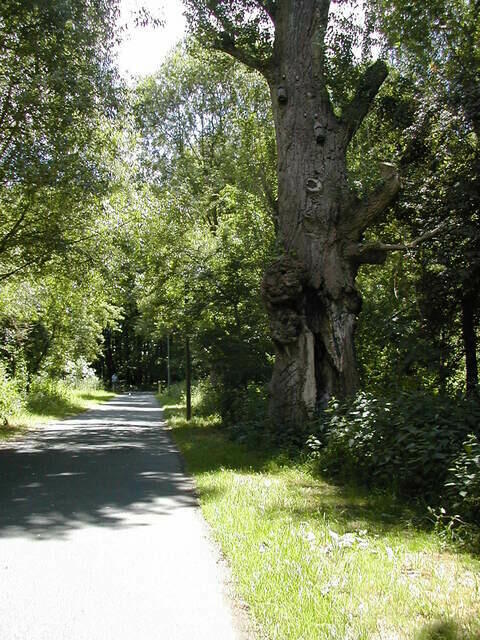 20050618125544