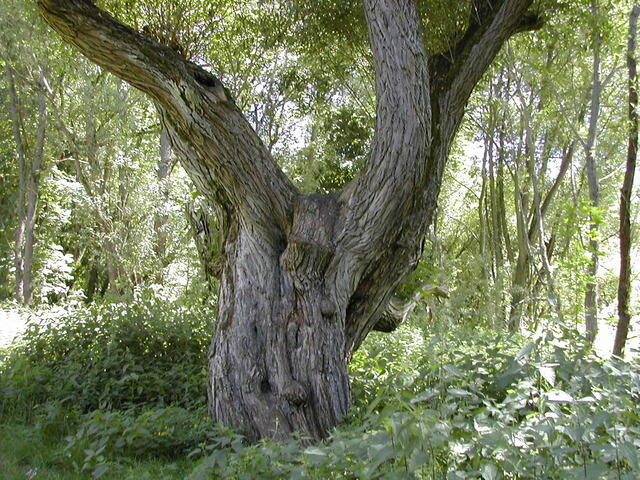 20050618151020