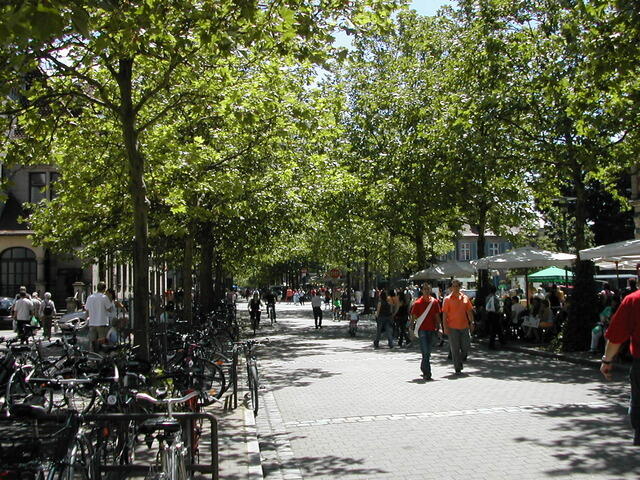 20050618133526