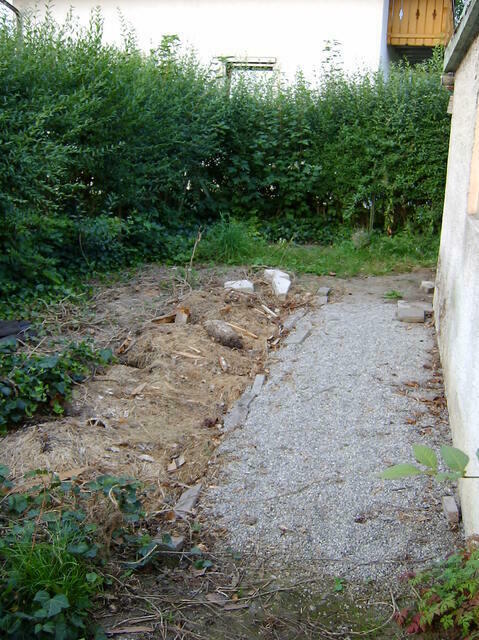 SANY0006_001.jpg