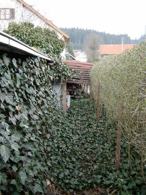 SANY0198
