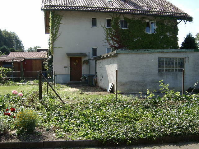 SANY0095.jpg