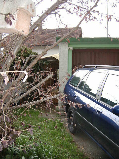 SANY0205.jpg