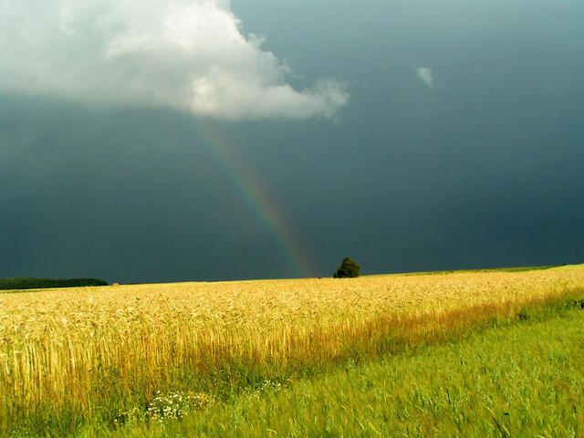 rainbow2OPT.jpg
