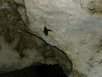 DSCN1718.JPG