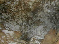 DSCN1738.JPG