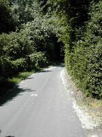 20050618145700