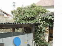 SANY0212