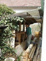 SANY0213.jpg