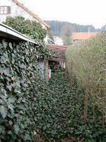 SANY0198.jpg