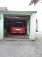SANY0203.jpg