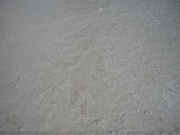 Frischer Beton. Eigentlich wollte ich hier meine Hand verewigen, aber ich durfte nicht! :-(