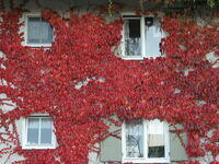 05. Oktober 2004