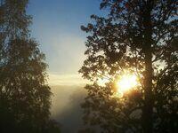 Foggy morning 2.jpg