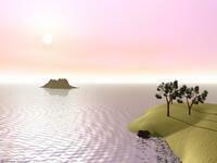 beach.jpg