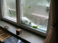 Hagel 2007