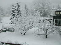 DSCN1882.JPG