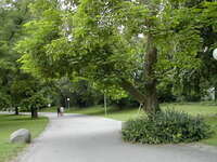 DSCN1879